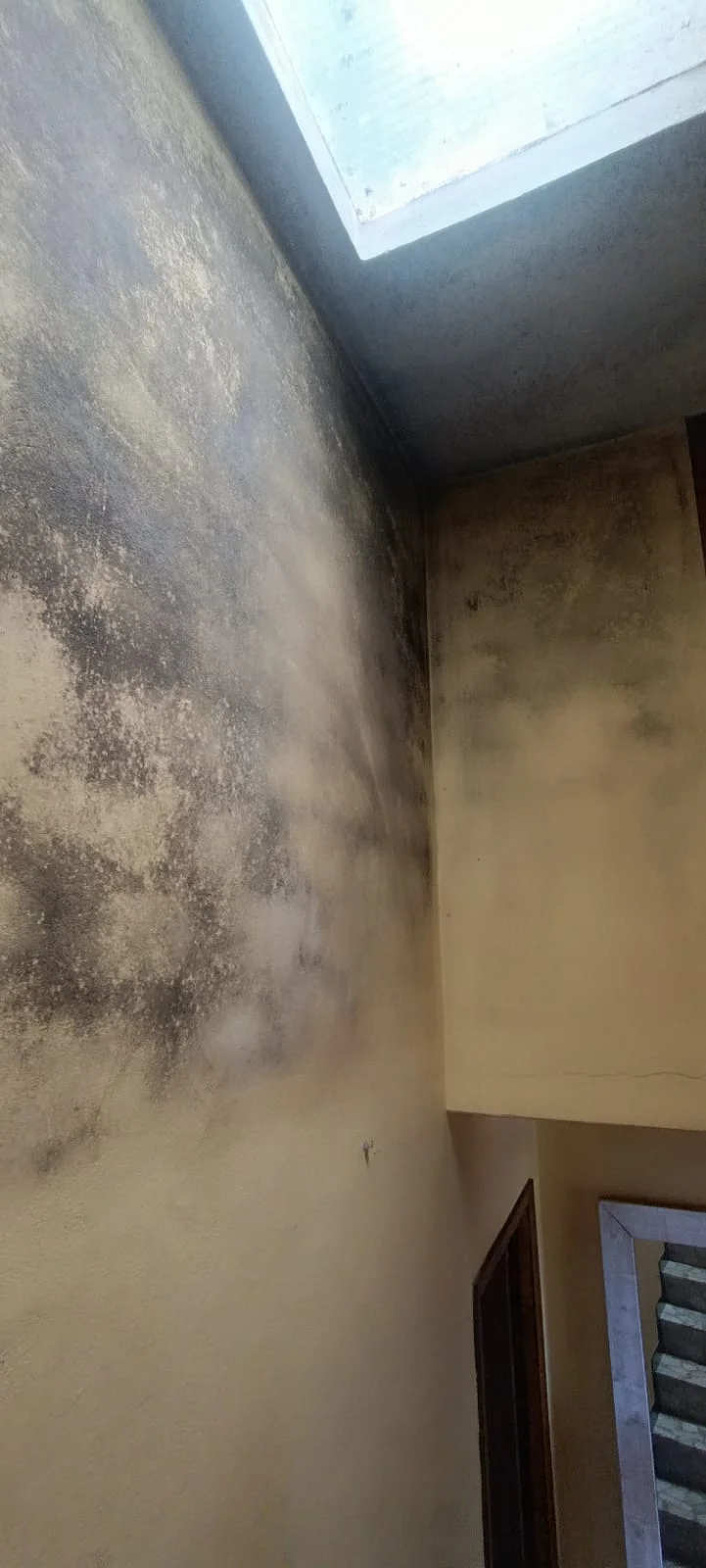Manchas oscuras en pared y techo. Estado previo con manchas compatibles con humedad y moho junto a una ventana.